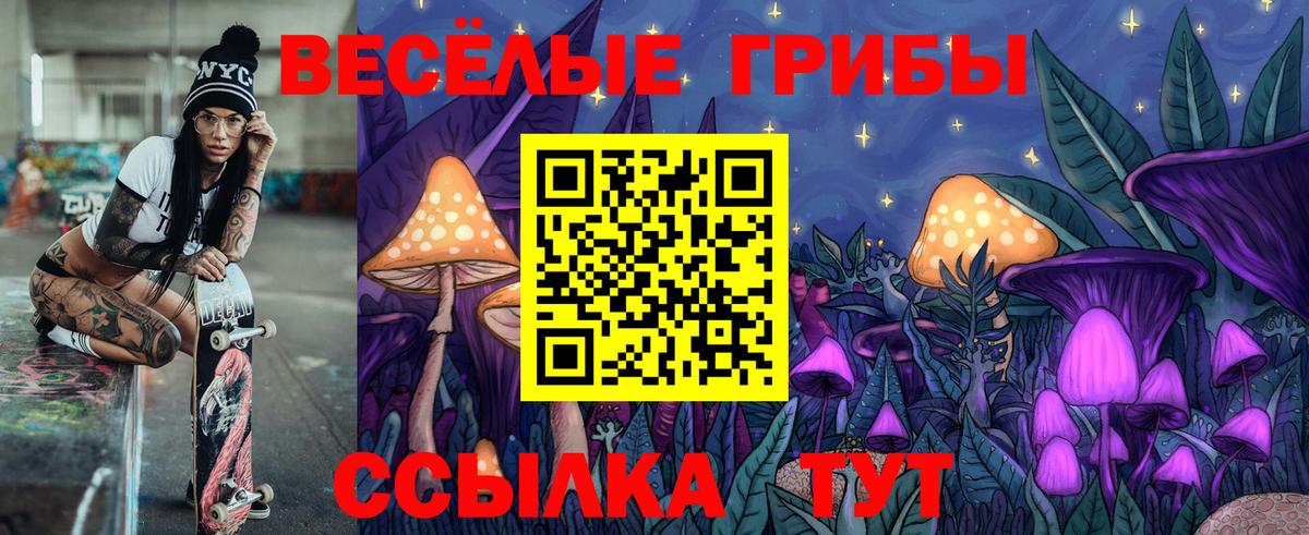наркошоп  Вход с VPN  Елец  Псилоцибиновые грибы мицелий 